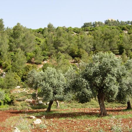 Ajloun Hotel Kültér fotó